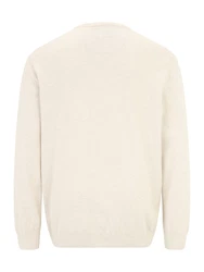 s.Oliver Rundhalspullover Basic mit gesticktem Logo auf der Brust beige