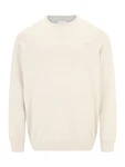 s.Oliver Rundhalspullover Basic mit gesticktem Logo auf der Brust beige