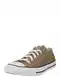 CONVERSE Niske tenisice  brokat / crna / bijela