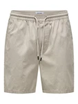 ONLY & SONS Shorts ONSTEL LIFE 0119 beige