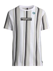 AROPOSTALE T-Shirt marine/hellgrau/schwarz/wei