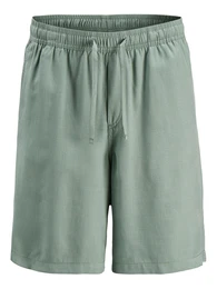 Shorts 'KARL AARON' hellgrn