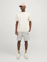 JACK & JONES Shorts 'JPSTKANE VESTERBRO' beige/schwarz