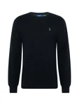 Polo Ralph Lauren Pullover hellblau/schwarz