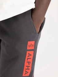 ALPHA INDUSTRIES Shorts graphit / orange