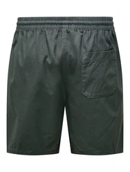 ONLY & SONS Shorts ONSTEL LIFE 0119 dunkelgrn