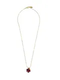 Červené Colliers image