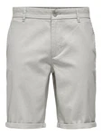 Only & Sons Shorts 'Peter Dobby' hellgrau
