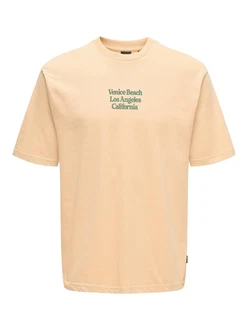 Only & Sons T-Shirt 'ONSKENNY'