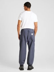 Iriedaily Hose City Relax Cargo grau/weiß