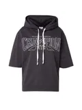 Champion Authentic Athletic Apparel Svetry s Kapucí image