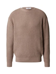 DAN FOX APPAREL Pullover 'Eren' taupe