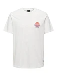 Only & Sons T-Shirt KYE beige/lila/apricot/weiß