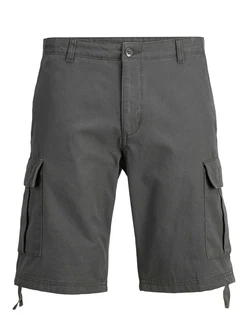 JACK & JONES Shorts JPSTCole Barkley