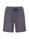 Iriedaily Shorts City Relax dunkelgrau