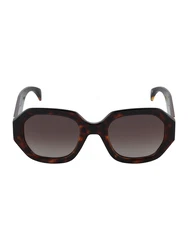 LEVI'S Sonnenbrille braun / gold / schwarz