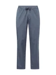 Iriedaily Hose Trapas taubenblau