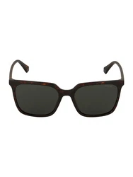 Polaroid Sonnenbrille braun/dunkelbraun