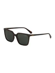 Polaroid Sonnenbrille braun/dunkelbraun