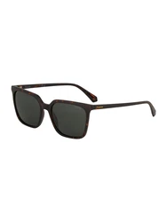 Polaroid Sonnenbrille braun/dunkelbraun