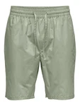 Only & Sons Shorts LINUS hellgrün