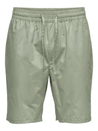 Shorts 'LINUS' hellgrn
