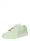 Nike Sportswear Tenisky 'DUNK'  světle šedá / světle zelená / offwhite