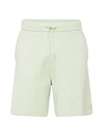 SELECTED HOMME Shorts 'Teller' hellgrün