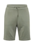 Only & Sons Shorts 'Neil' green