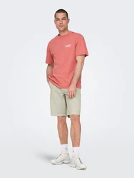 ONLY & SONS Chinoshorts ONSLOC hellgrau