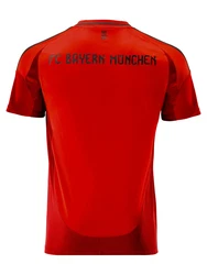 ADIDAS PERFORMANCE Trikot 'FC Bayern München 2024/2025' Away rot/dunkelrot/schwarz