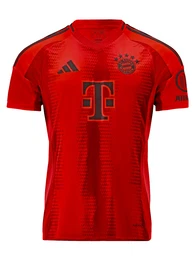 Trikot 'FC Bayern Mnchen 2024/2025' rot / dunkelrot / schwarz