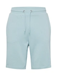 Only & Sons Shorts 'Neil' hellblau