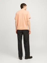 Jack & Jones T-Shirt JJRODNEY apricot