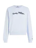 Oblečení Tommy Hilfiger Hip Hop image