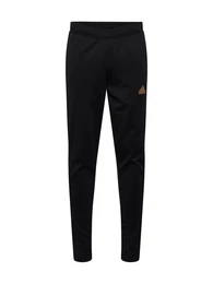 Sporthose 'House of Tiro Nations' sepia / schwarz