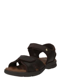Sandale 'Sanders' dunkelbraun / gold