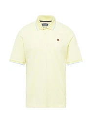 Jack & Jones T-Shirt Bluwin pastellblau/apfel/wei