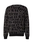 Iriedaily Pullover Switchup grau/schwarz/weiß