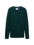 TOM TAILOR Strickpullover tanne