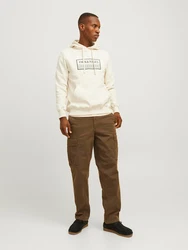 JACK & JONES Sweatshirt Frederiksberg pastellgrn/schwarz/wollwei