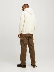 JACK & JONES Sweatshirt Frederiksberg pastellgrn/schwarz/wollwei