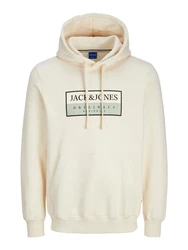 JACK & JONES Sweatshirt Frederiksberg pastellgrn/schwarz/wollwei
