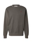 REPLAY Sweatshirt dunkelgrau/rot