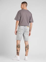 Only & Sons Shorts ONSEDGE (1-tlg) grey