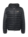 EA7 Emporio Armani Jacke gold/schwarz