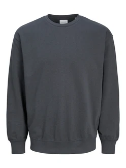 JACK & JONES Sweatshirt 'JJECharge' 