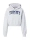 Tommy Jeans Majica  temno modra / siva