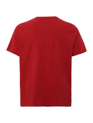 Levi's Big & Tall Original Housemark Tee rot