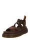 Dr. Martens Sandali 'Gryphon Quad'  temno rjava / bela